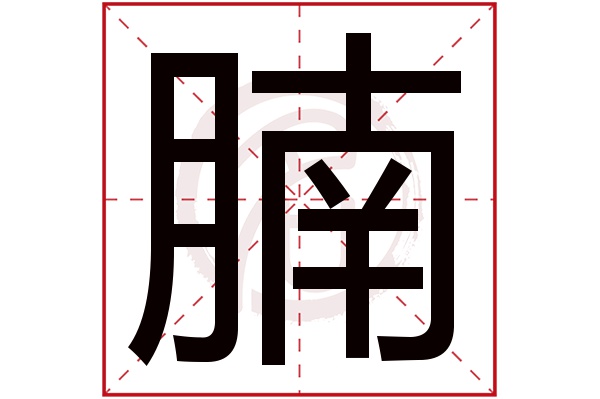 腩字